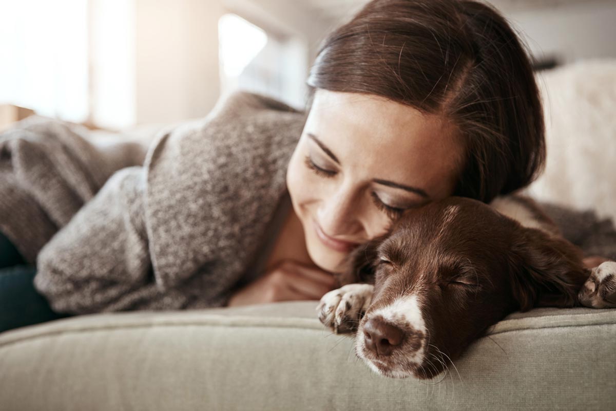 Should you share your bed with a dog?