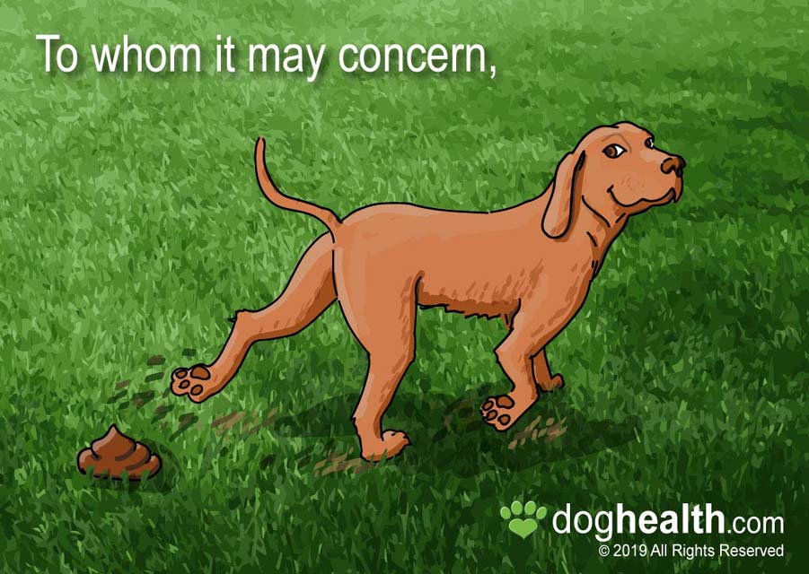 Learn why some dogs kick with their back feet after eliminating.