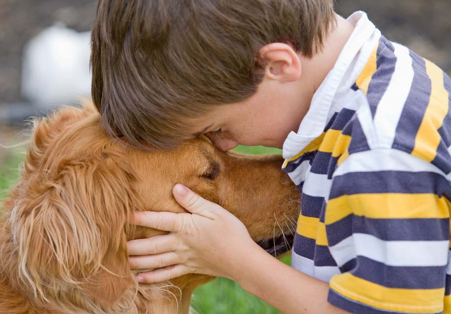 Autistic children can be helped by service dogs.