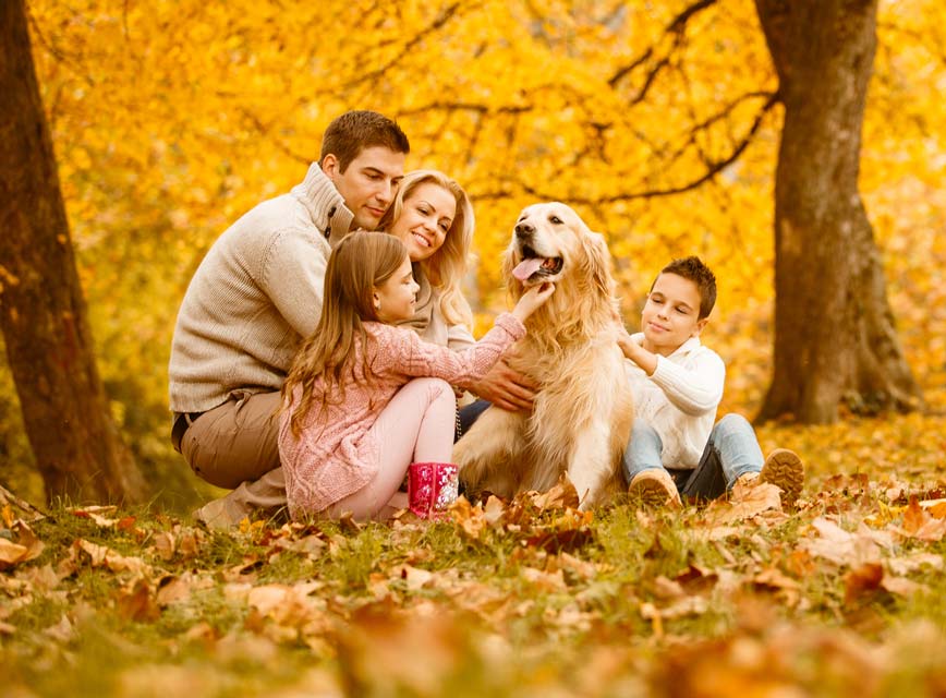 Fall can bring specific threats to dogs.