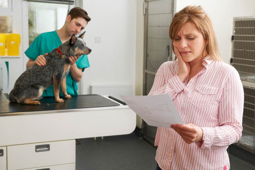 Learn how to prepare for veterinary costs. Proper preparation can avoid costly vet bills.