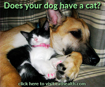 Does Your Dog Have a Cat?