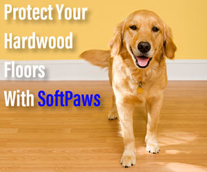 Protect Your Hardwood Floors