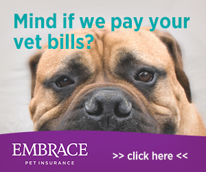 nose-to-tail pet insurance coverage with Embrace