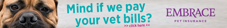 can dogs sense sadness how dogs sense emotions can dogs sense sadness how dogs sense emotions