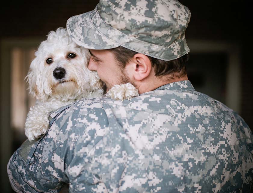 Dogs can help those with PTSD.