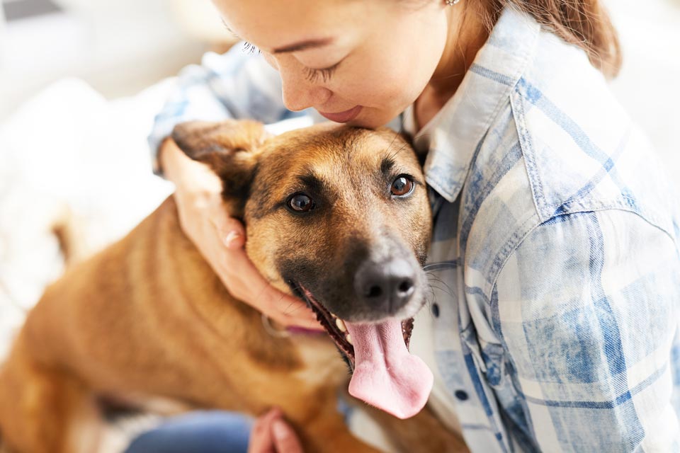 Use these tips to help your dog’s immune system.