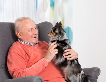 Learn how to plan for your dog after your death. Having a plan for your dog can help you feel peace.