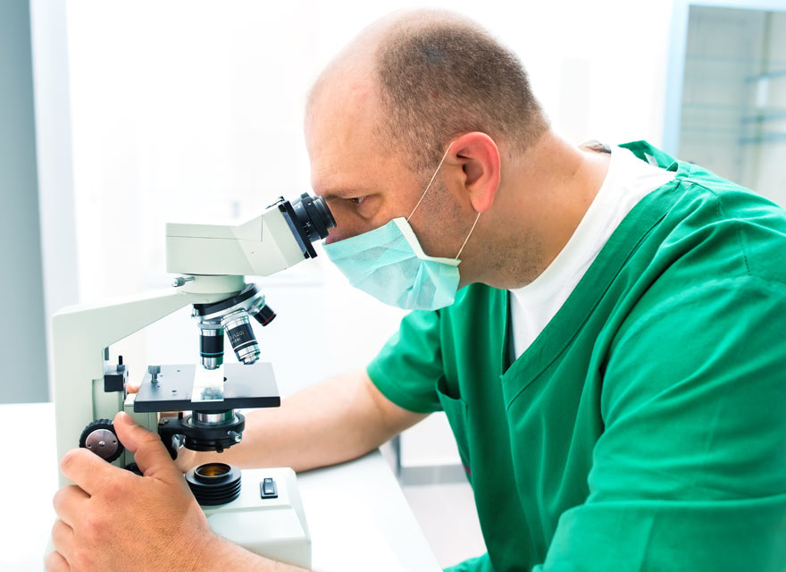 Coagulation profiles help diagnose bleeding problems in dogs. Learn about coagulation profiles in dogs.