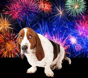 Don't reinforce fear with coddling. Help your dog get through fireworks season.