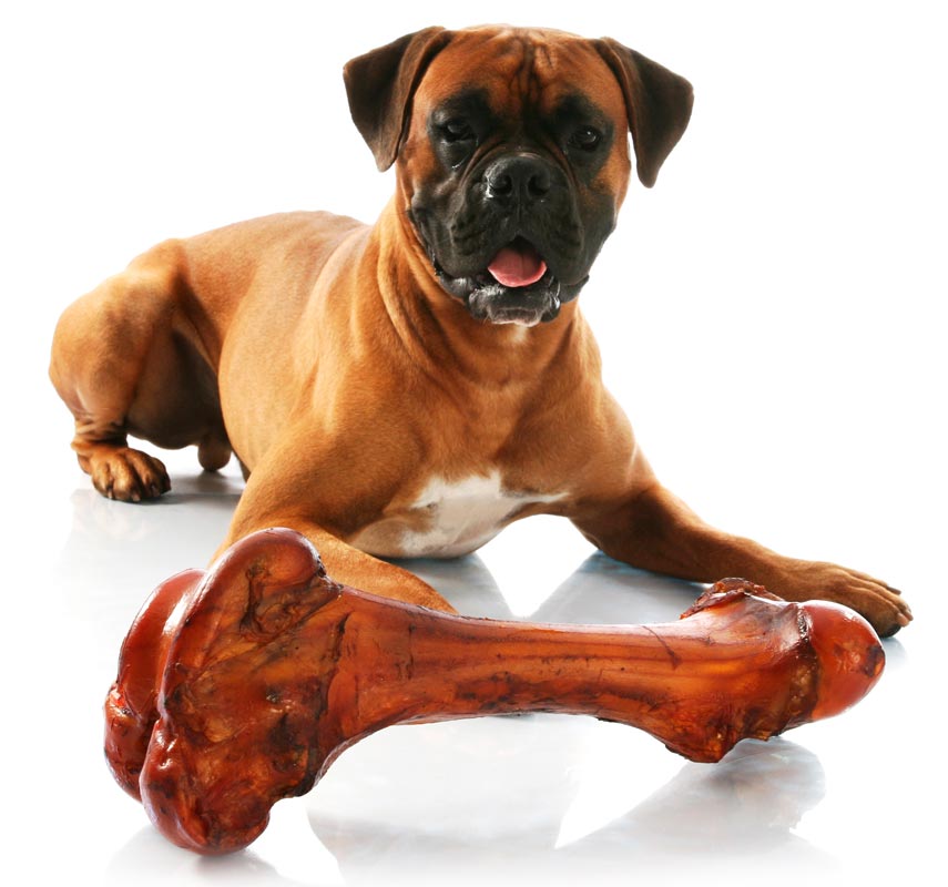 dog_bone