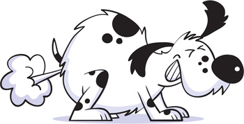 Dog farts can indicate a problem. Are dog farts indications of a medical problem or just a funny nuisance?