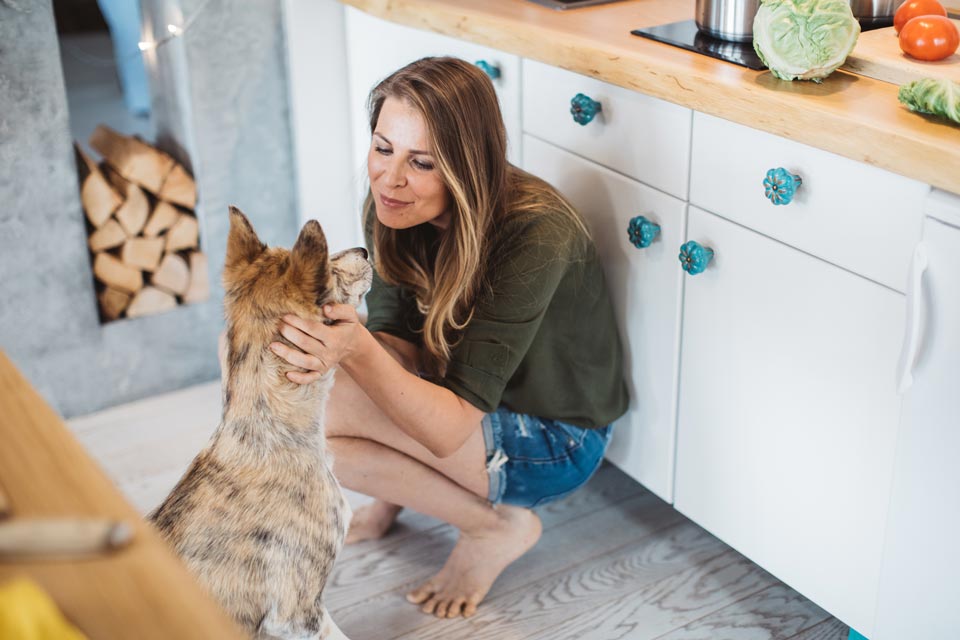 Dogs learn to follow people. Why do dogs follow their owners around?