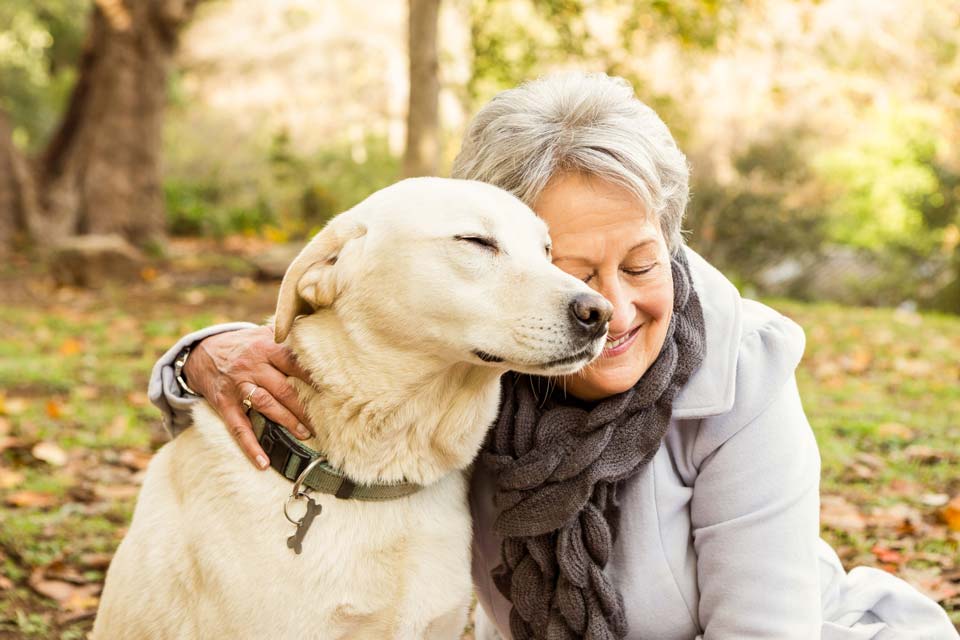 Caring for Aging Dogs dog_senior