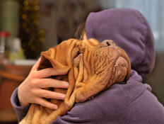 If your dog's matchmaking doesn't result in true love, you'll still have canine cuddles. Dogs' cuddles can help you hold out until you find your soulmate.