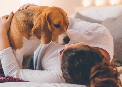 Dogs are more expressive with their facial expressions when humans are looking at them.