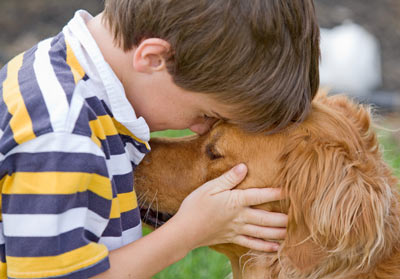 Study shows dogs can catch emotions from each other.