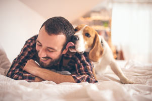 Use your dog to find your new soulmate. Your dog can help lead you to your mate.