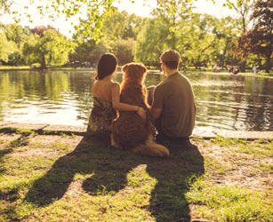 Getting out and about with your dog can help you find a date. Dogs are great at many things, including being matchmakers.