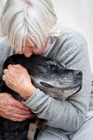 Learn about in-home euthanasia of dogs.