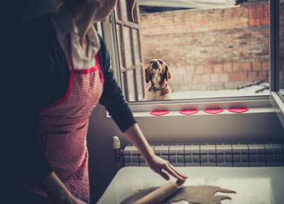 Learn what you need to know to safely make your dog’s food. Making food for your dog can come with some risks.