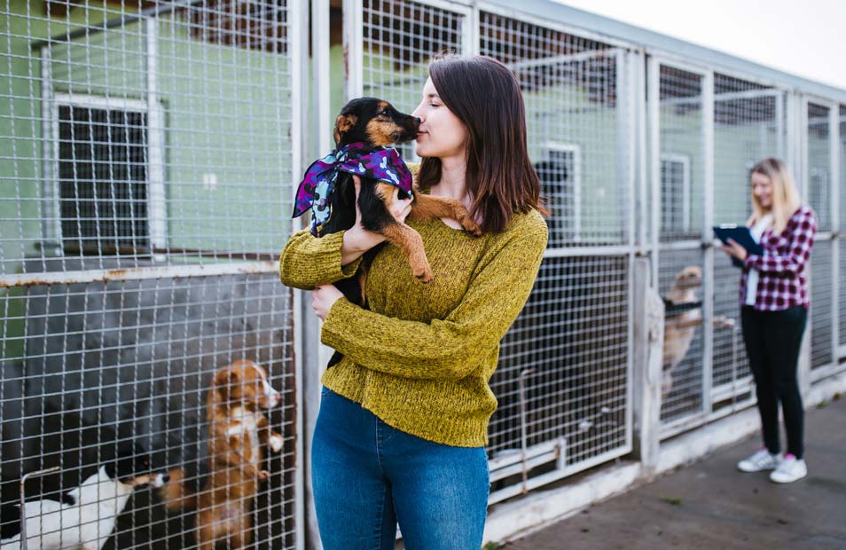 How do you decide what dog breed to get? Tips for deciding how to choose a dog.