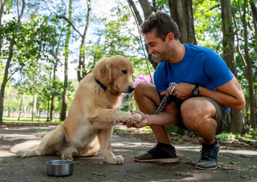 Improve your dog walking trips by adding extra fun. Learn how you can make walking with your dog more fun than ever.