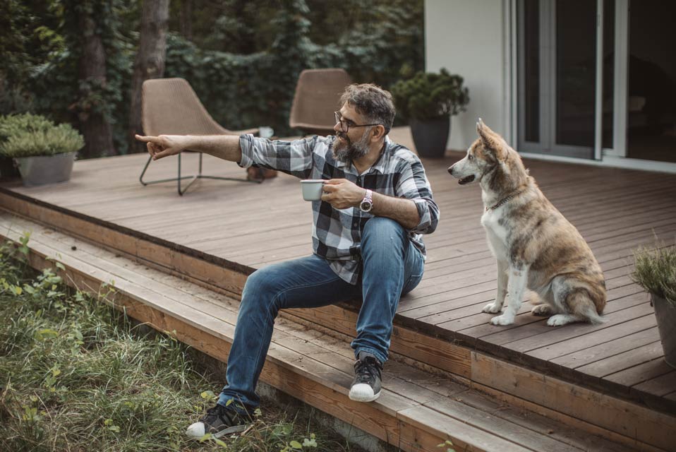 The look command can help when you’re out and about with your dog. Teach the look command to keep your dog focused.