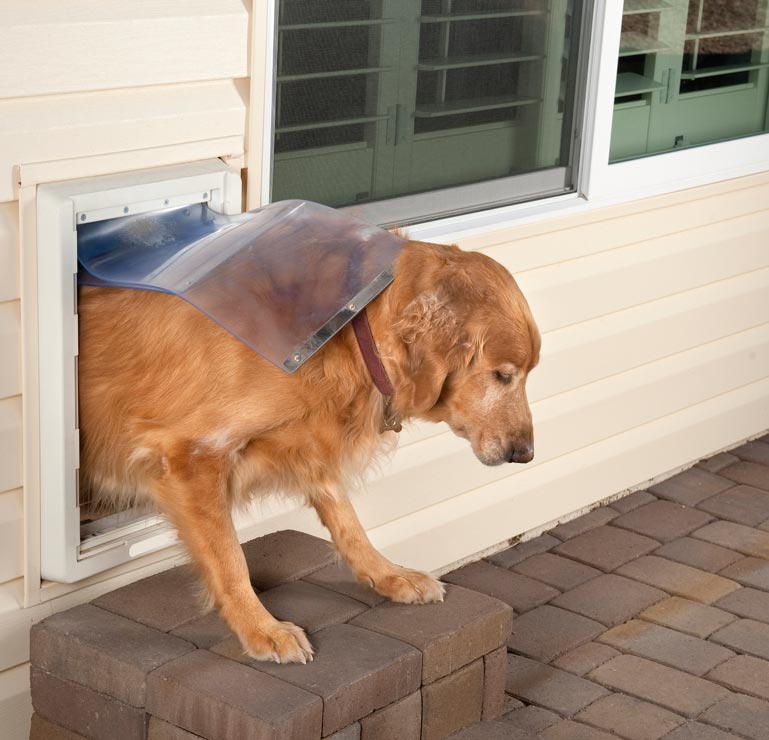 Learn whether a doggie door is right for you.