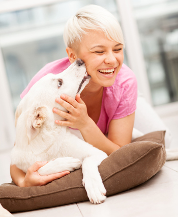 Is it OK for a dog to lick a person’s face?