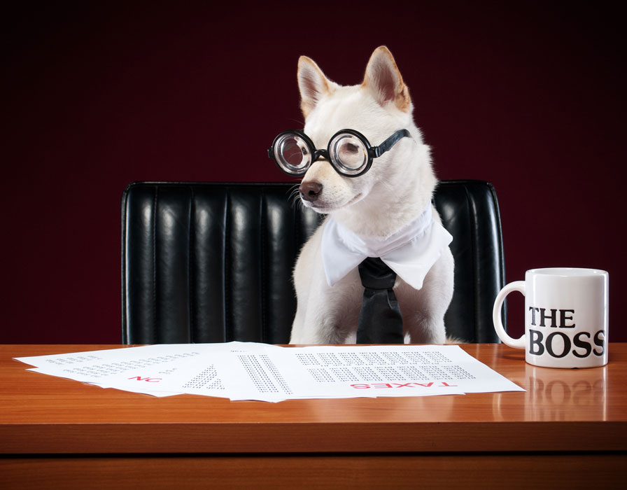 How can you tell if your dog’s in charge?
