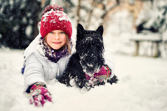 Test your cold weather canine smarts.