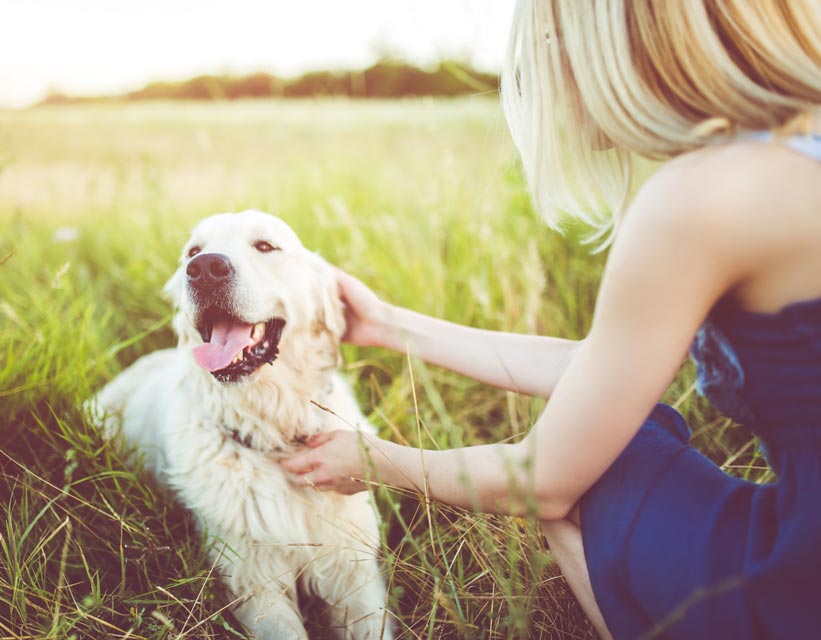 Rocky Mountain spotted fever is spread by tick bites.