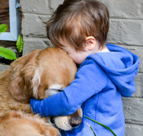 Small things can cause big problems with your dog’s health. Avoid these ten things to extend your dog’s life.