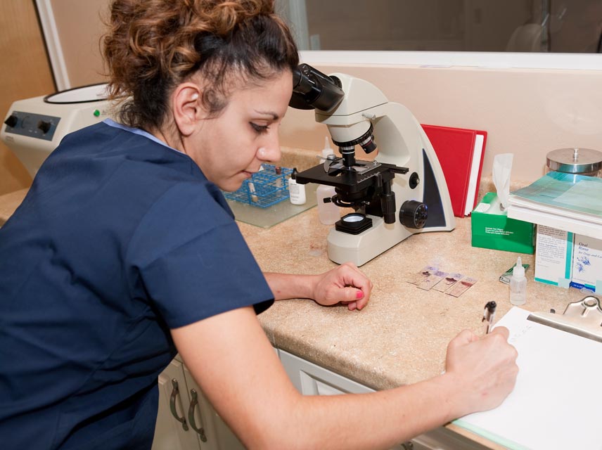 A skin cytology can help diagnose canine skin problems. A skin cytology is a non-invasive, affordable dermatology test.