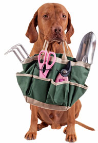 Use pet-friendly fertilizers, insecticides, and pesticides. Dogs may be poisoned by gardening chemicals.