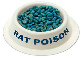 Rat poison kills dogs as well as rodents. Rat poisons are often in places accessible to dogs.