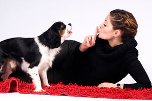 Learn how to control barking while you’re home or away. Is it possible to reduce your dog’s barking?