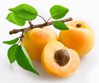 Apricot Apricot