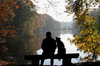 Man's Best Friend dog_loyal