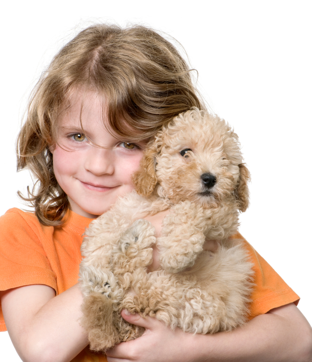 Teaching your child and dog to interact properly will ensure a long lasting friendship. Puppy_love
