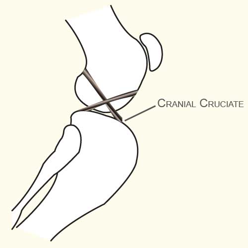 Diagram 1 Diagram_1