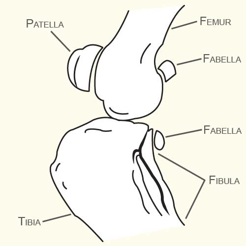 Diagram 2 Diagram_2