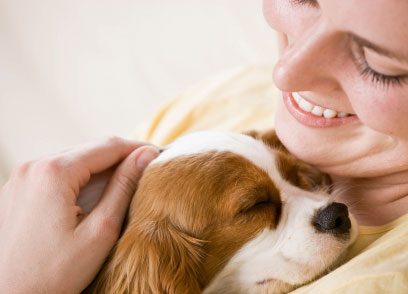 Image result for dog care