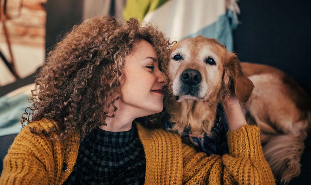 Learn how stress effects canine health. Stress can negatively affect a dog’s health.