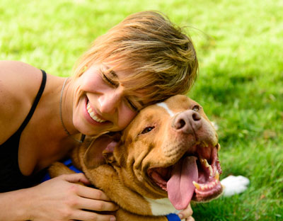 Studies aim to decipher how dogs communicate with people. Dogs use the same brain pathways for communication as humans do.