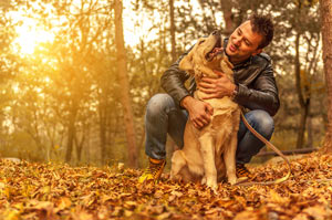 Dog and human bond during work time. The human-dog bond is strengthened by daily walking.