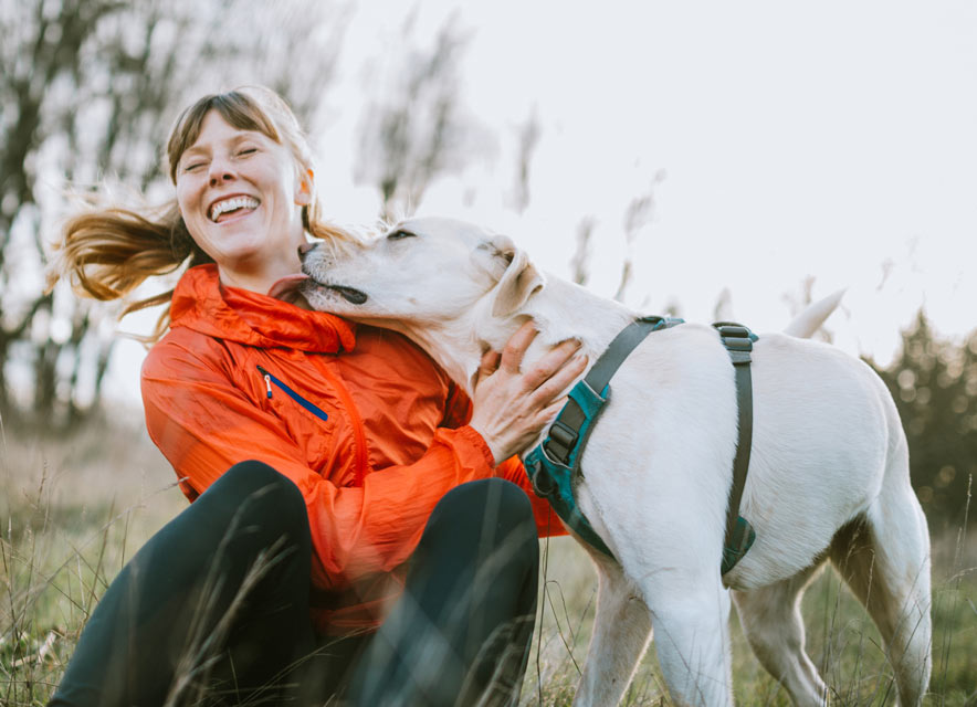 Use these easy tips to help your dog lose weight. These weight loss tips are easy and fun for your dog.